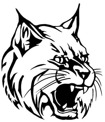 Wildcat Wildcat