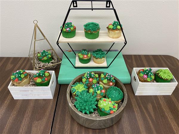 Cupcake wars contest presentation.